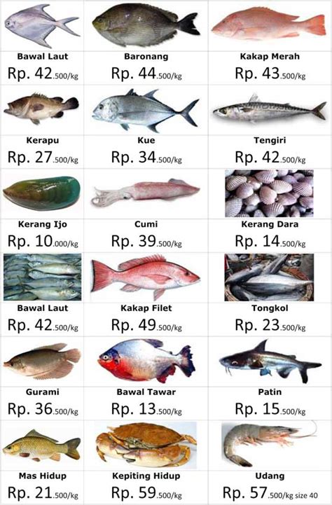 Harga Ikan Laut Terbaru 2021: Update Harga Ikan Segar di Pasaran